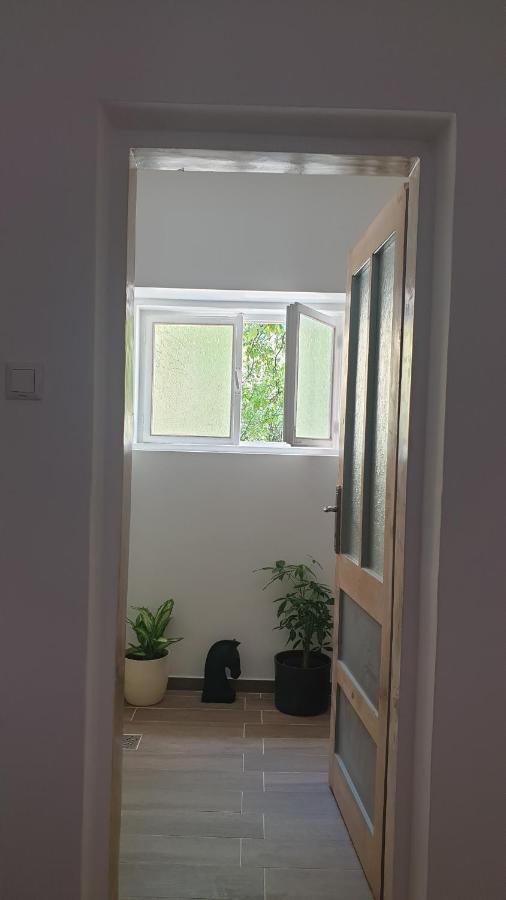 Apartamento Casa Arion Băile Herculane Exterior foto