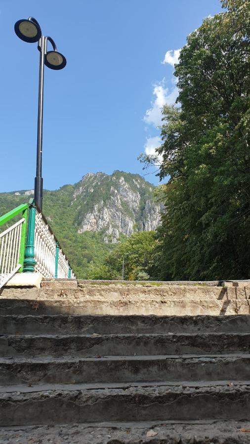 Apartamento Casa Arion Băile Herculane Exterior foto