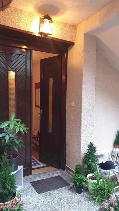 Apartamento Casa Arion Băile Herculane Exterior foto